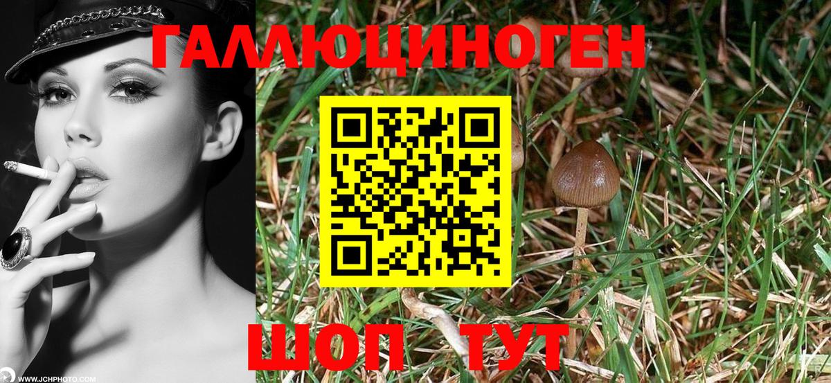 Галлюциногенные грибы ЛСД Жигулёвск